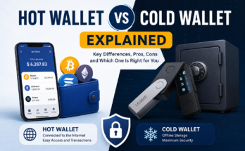 Hot Wallet vs Cold Wallet Explained